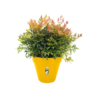Elho Loft Urban Pot+Wiel Ø40 cm - Oker - afbeelding 2