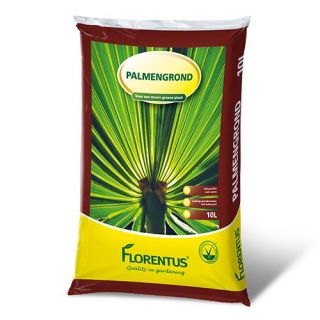 Florentus Potgrond Palmen - 10 L