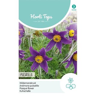 Horti Tops Pulsatilla, Wildemanskruid