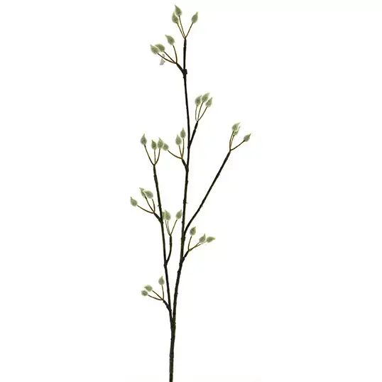 Pussy willow spray cream 78 cm