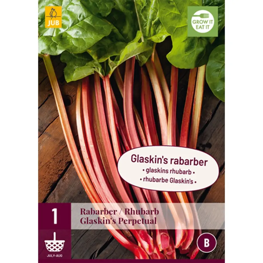 JUB Holland Rheum / Rabarber Glaskins Perpetual - 1 st.