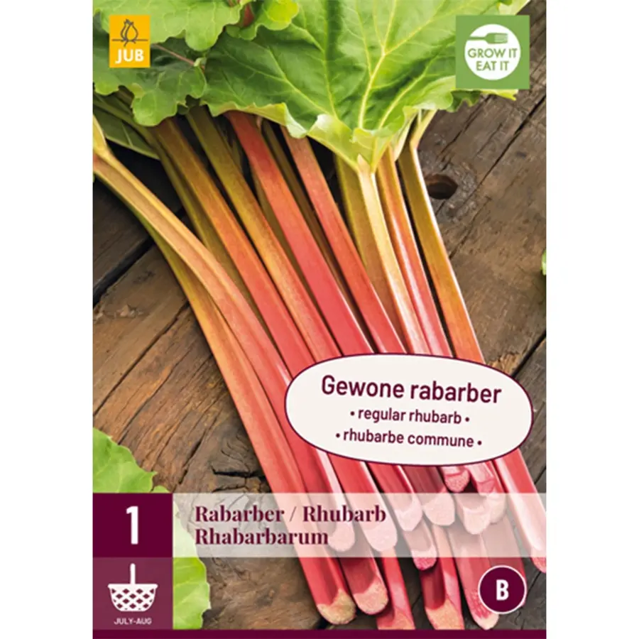 JUB Holland Rheum / Rabarber Rhabarbarum - 1 st.