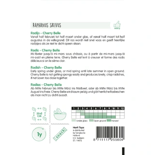 Horti Tops Radijs Cherry Belle - afbeelding 2