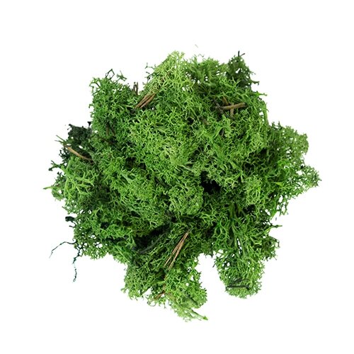 My Village Rendiermos 500 g - Donkergroen - afbeelding 2