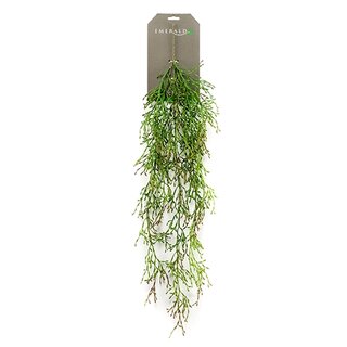 Emerald Rhipsalis vine 90cm