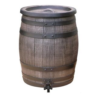 Roto Regenton - 50 L - afbeelding 1