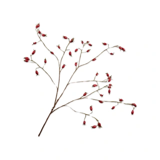 Kunsttak Rozenbottel Rood - 106 cm - afbeelding 1