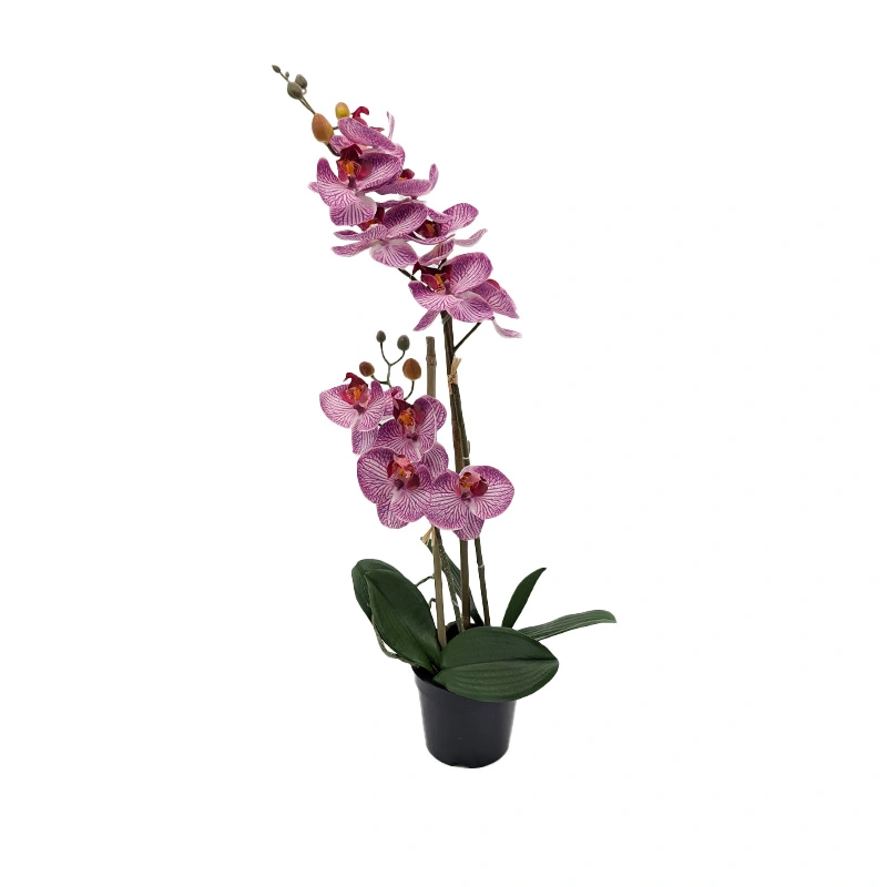 Kunst Phalaenopsis Orchidee In Pot x2 50 cm - Tiger Cerise