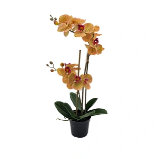 Kunst Phalaenopsis Orchidee In Pot x2 50 cm - Tiger Yellow