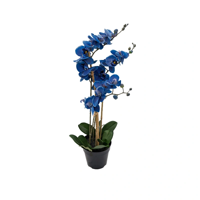 Kunst Phalaenopsis Orchidee In Pot x3 60 cm - Blue