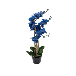 Kunst Phalaenopsis Orchidee In Pot x3 60 cm - Blue