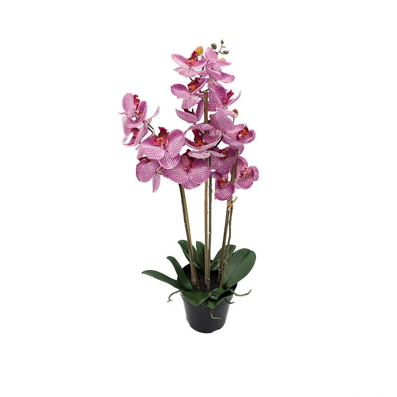 Kunst Phalaenopsis Orchidee In Pot x3 60 cm - Tiger Cerise