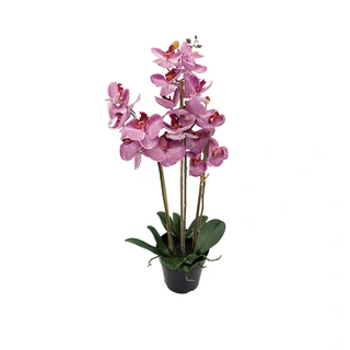 Kunst Phalaenopsis Orchidee In Pot x3 60 cm - Tiger Cerise