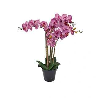 Kunst Phalaenopsis Orchidee In Pot x5 60 cm - Tiger Cerise