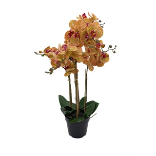 Kunst Phalaenopsis Orchidee In Pot x5 60 cm - Tiger Yellow