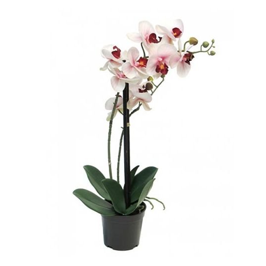 Kunst Phalaenopsis Orchidee In Pot 50 cm - Roze