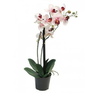 Kunst Phalaenopsis Orchidee In Pot 50 cm - Roze