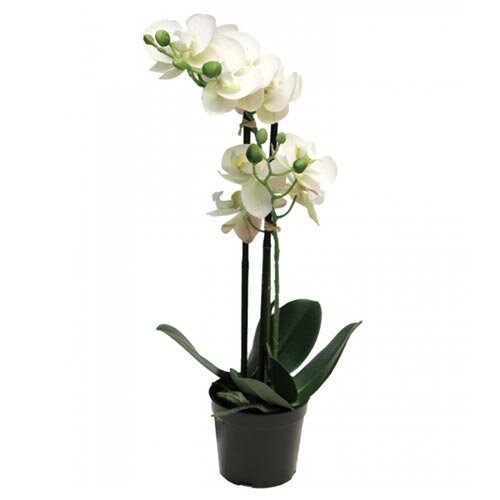 Kunst Phalaenopsis Orchidee In Pot 50 cm - Wit