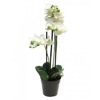 Kunst Phalaenopsis Orchidee In Pot 60 cm - Wit