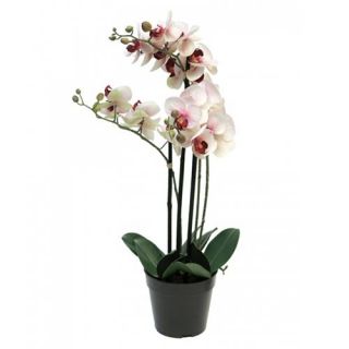 Kunst Phalaenopsis Orchidee In Pot 60 cm - Roze