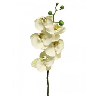 Kunst Phalaenopsis Orchidee Bora 58 cm - Wit