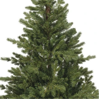 Everlands Rumford fir - 150cm - afbeelding 2
