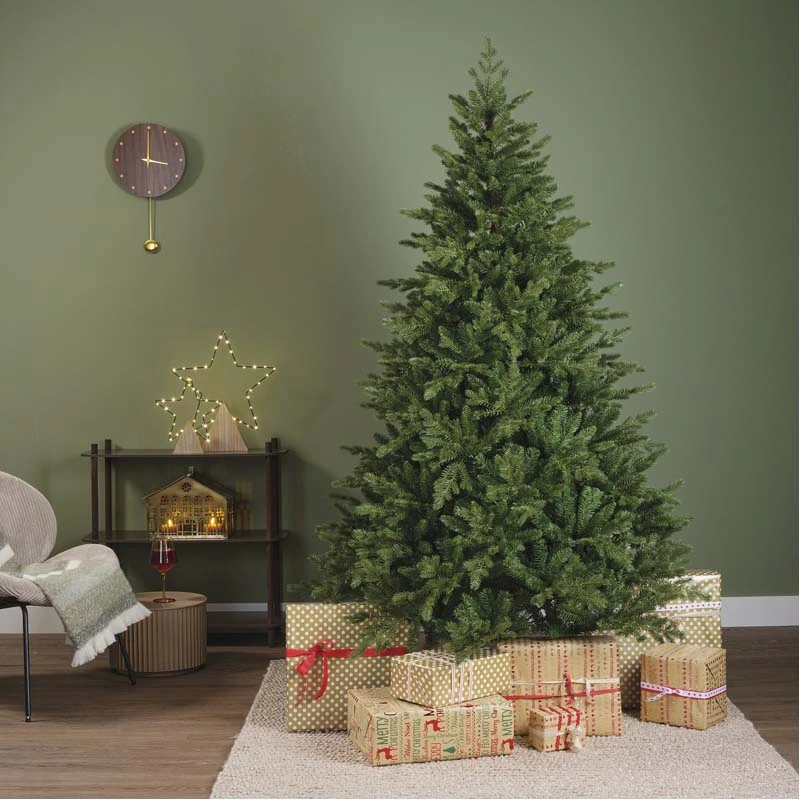 Everlands Rumford fir - 240cm - afbeelding 6