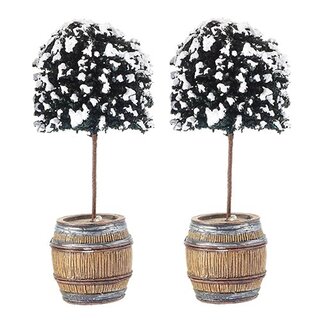 Luville Buxus Tree in Barrel - 2 st.