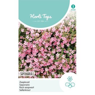 Horti Tops Saponaria, Zeepkruid Rose