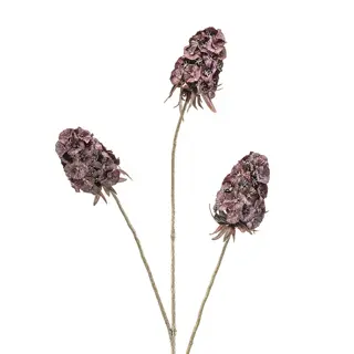 Kunstbloem Scabiosa Burgundy - 87 cm