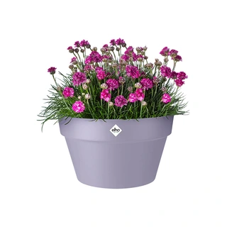 Elho Loft Urban Schaal Ø35 cm - Lavendel Lila - afbeelding 2