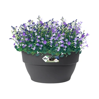 Elho Vibia Campana Schaal Ø34 cm - Antraciet - afbeelding 2