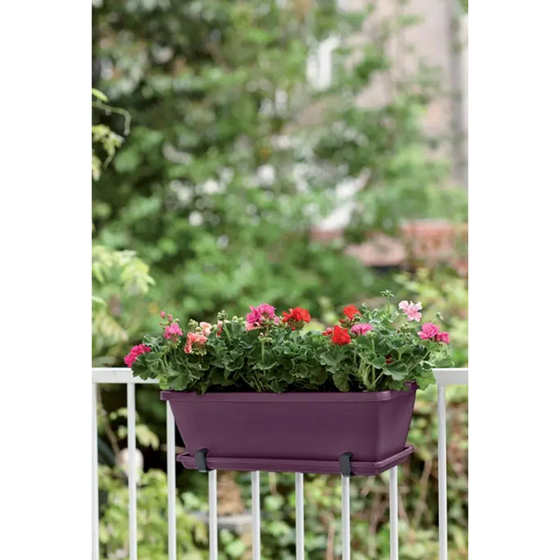 Elho Barcelona Balkonbak Schotel  50 cm - Esdoorn Paars - afbeelding 2