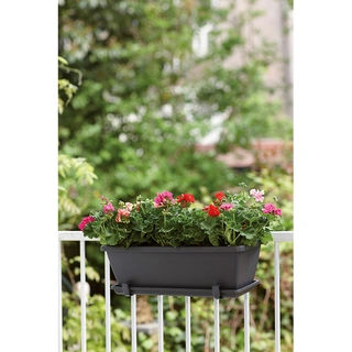 Elho Barcelona Balkonbak Schotel  70 cm - Antraciet - afbeelding 2