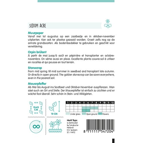 Horti Tops Sedum, Muurpeper geel - afbeelding 2