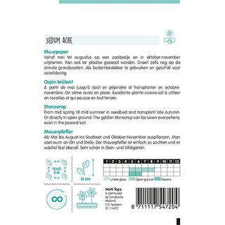 Horti Tops Sedum, Muurpeper geel - afbeelding 2