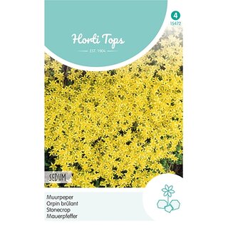 Horti Tops Sedum, Muurpeper geel