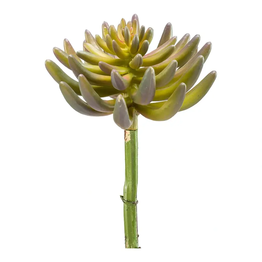 Kunst Sedum rupestre plant 14cm green