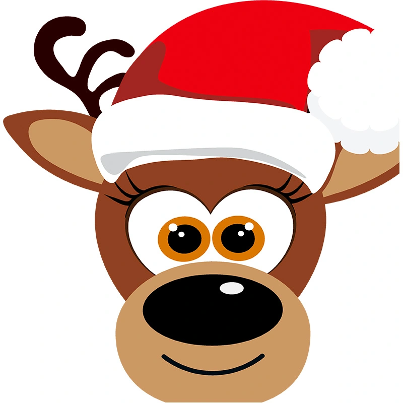 Duni Servetten Reindeer Smile 33cm