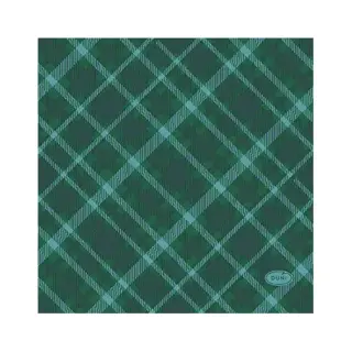 Duni Servetten Tartan Green - 24x24 cm | Tuincentrum De Boet