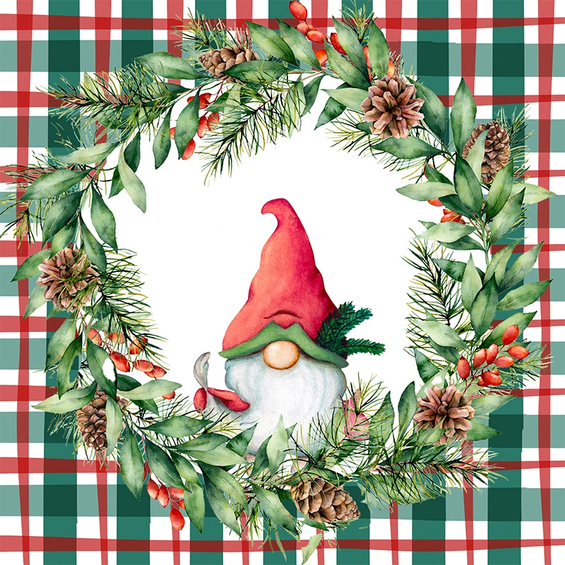 Duni Servetten Xmas Check - 24x24cm