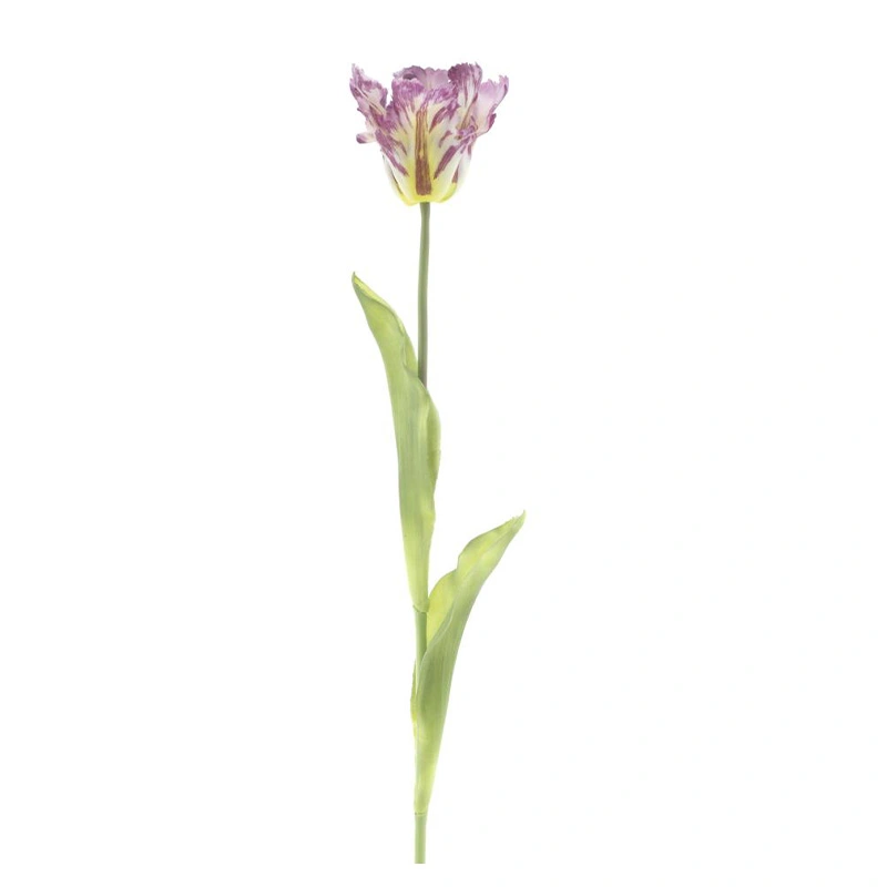 Kunst Parrot Tulp 71 cm - Paars