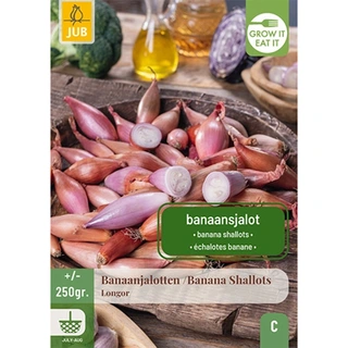 JUB Holland 250 gr. Sjalotten Longor | De Boet