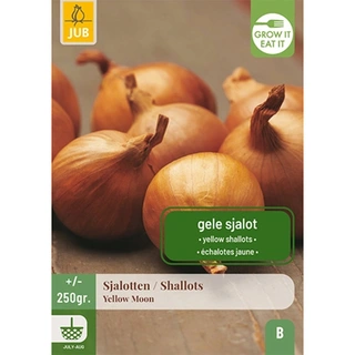 JUB Holland 250 gr. Sjalotten Yellow Moon | De Boet