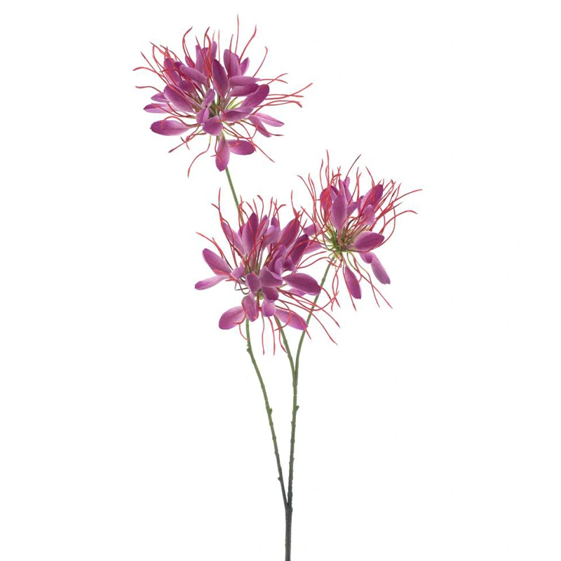 Kunstbloem Spider Flower Beauty - 94 cm