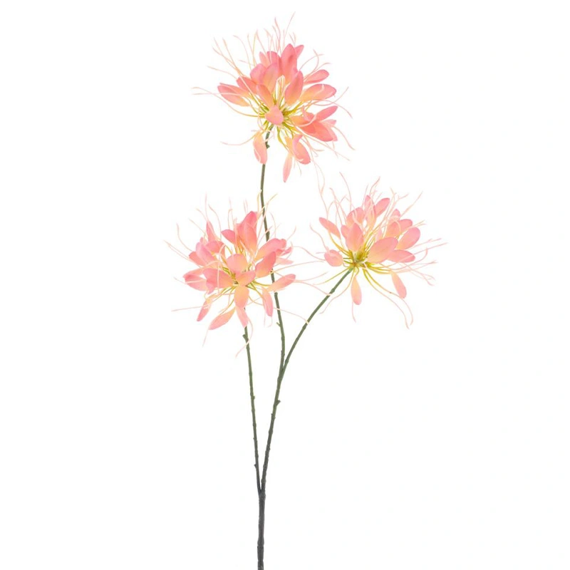 Kunstbloem Spider Flower Peach - 94 cm
