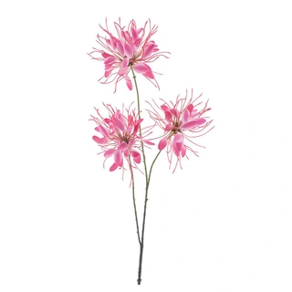 Kunstbloem Spider Flower Rood - 94 cm