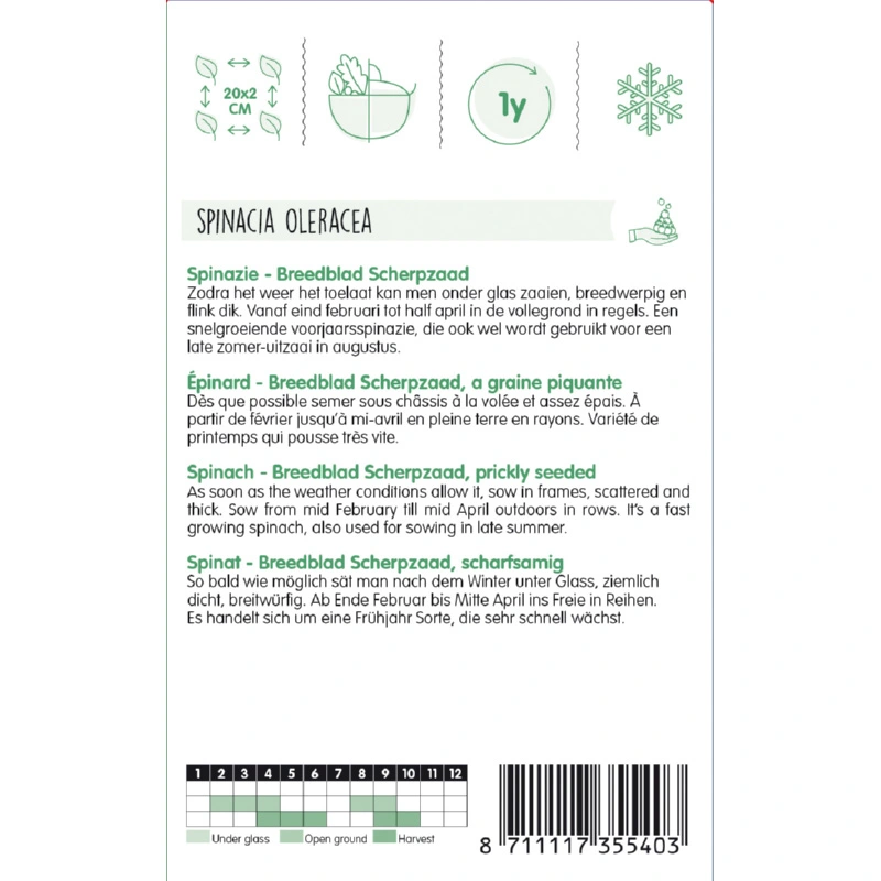 Spinazie Breedblad Scherpzaad zomer, 100g - afbeelding 2