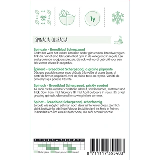 Spinazie Breedblad Scherpzaad zomer, 100g - afbeelding 2