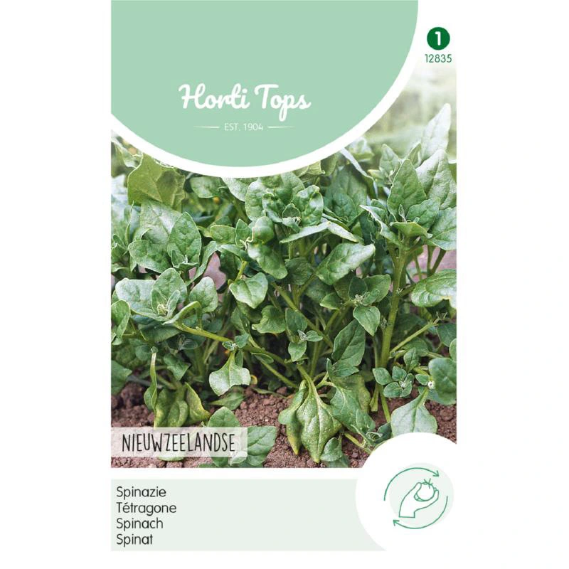 Horti Tops Spinazie Nieuwzeelandse - afbeelding 1